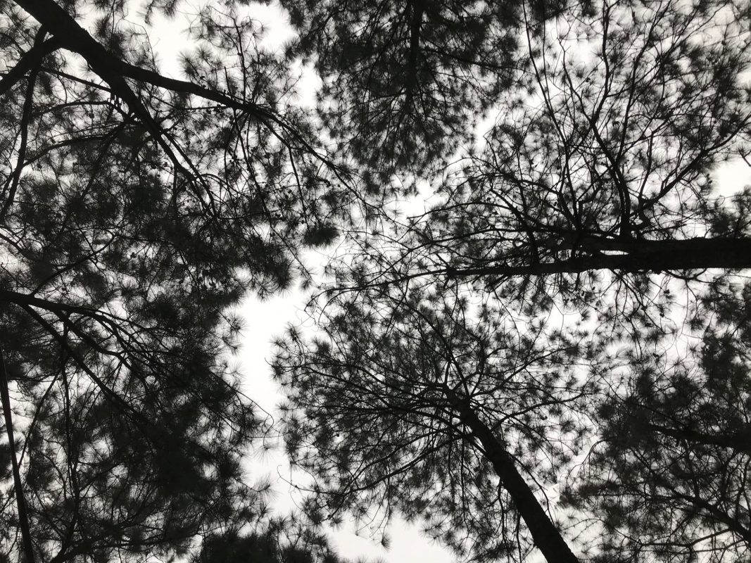 ÔN THI CÔNG CHỨC 247