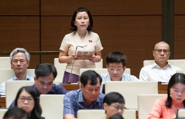 Đại biểu Lê Đào An Xuân phát biểu ý kiến khi thảo luận vấn đề này